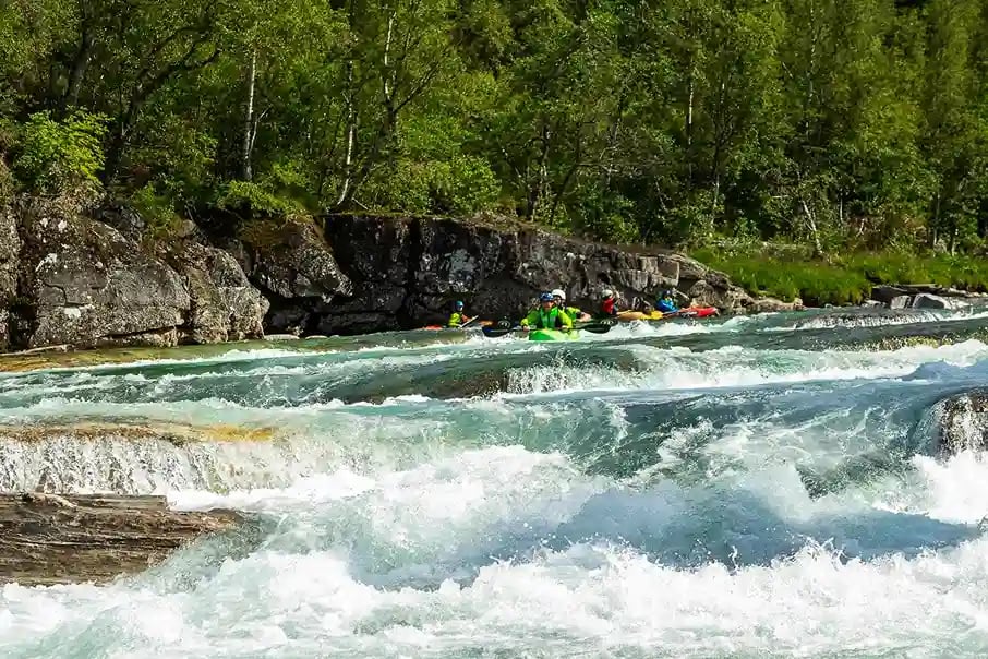 kayakers navigating a whitewater river