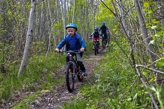 MOUNTAINBIKE-TOUR IM VOSS WALD