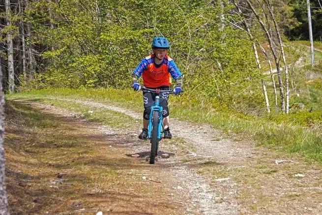 MOUNTAINBIKE-TOUR IM VOSS WALD - 1