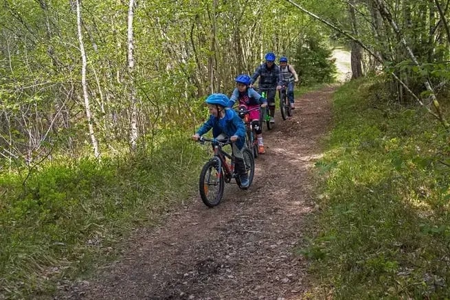MOUNTAINBIKE-TOUR IM VOSS WALD - 2