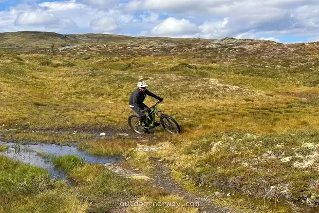 Mountain bike vom berg zum fjord