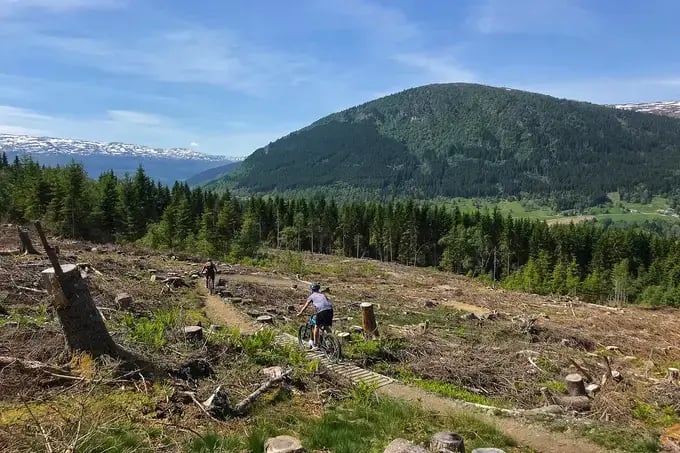 Mountain bike der große berg