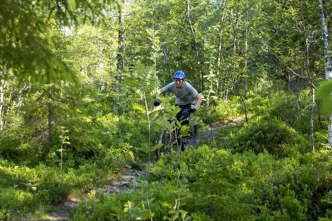Mountain bike der große berg