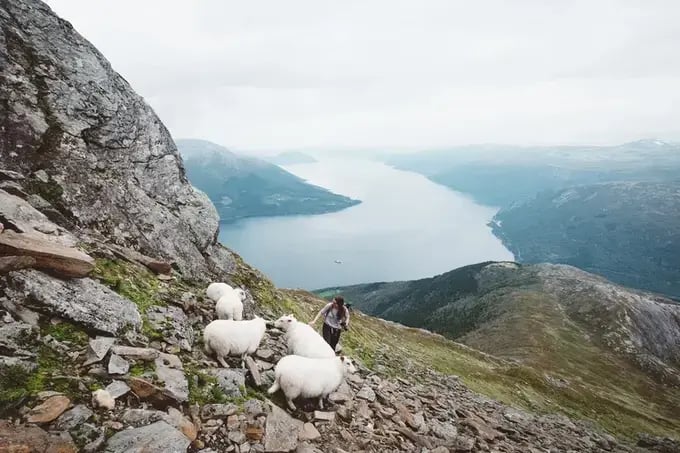 Fjord wanderung berg oksen