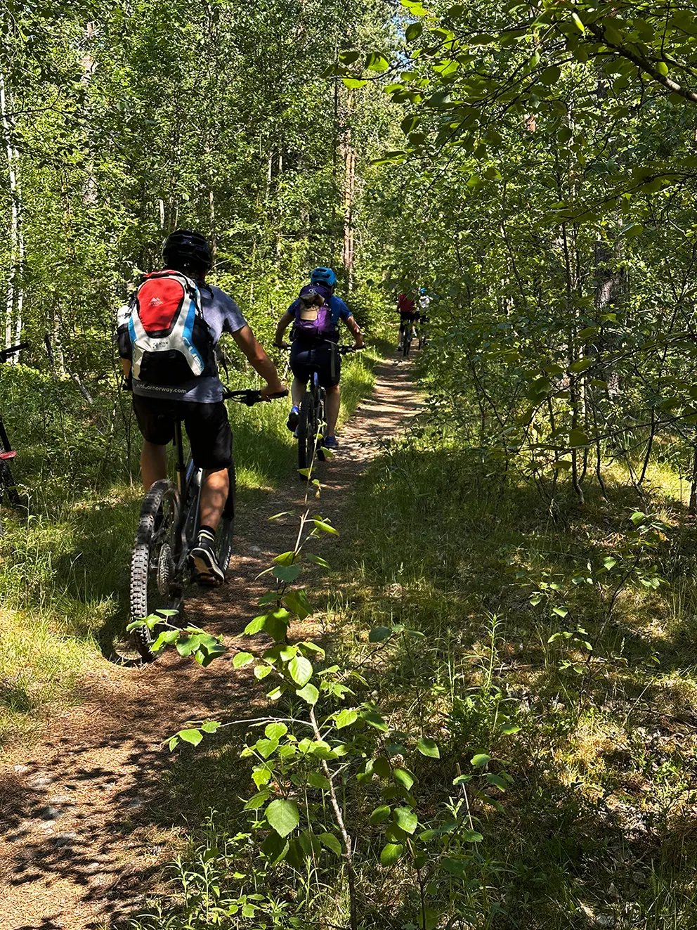 Mountain biking on a dirt trail