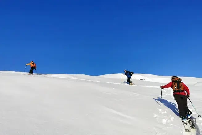 SKIBACKCOUNTRY