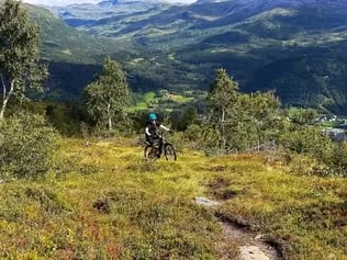 E-MTB in Voss