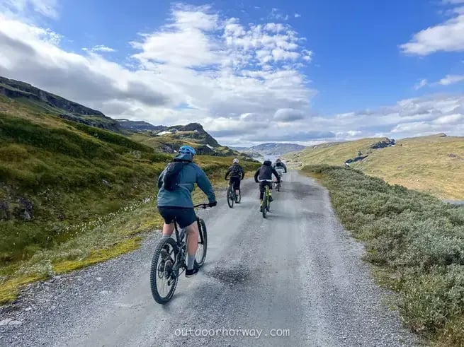 Mountain bike vom berg zum fjord