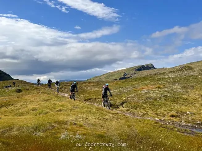 Mountain bike vom berg zum fjord