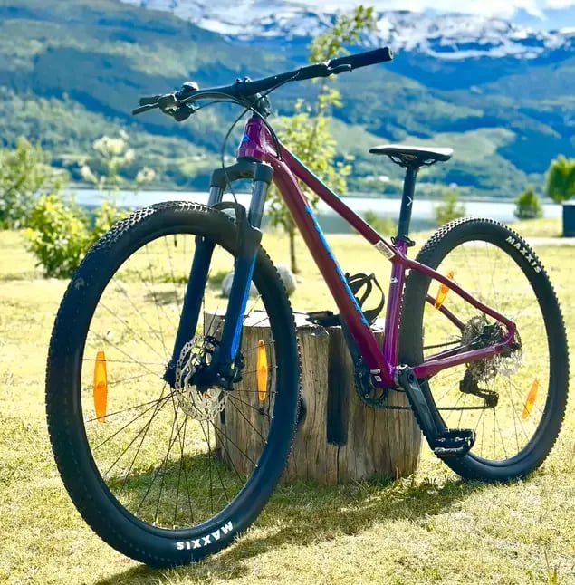 HARDTAIL MOUNTAIN BIKE Verleih