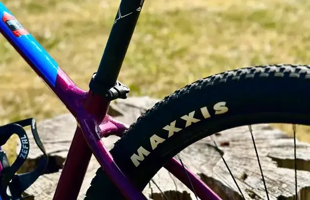 HARDTAIL MOUNTAIN BIKE Verleih - 5