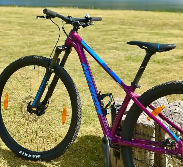 HARDTAIL MOUNTAIN BIKE Verleih - 2