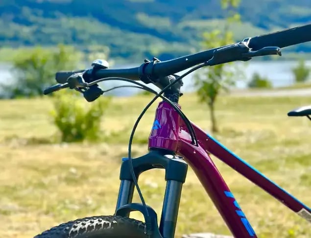 HARDTAIL MOUNTAIN BIKE Verleih - 1