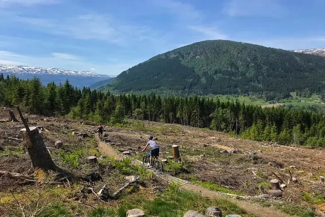 Ihre mountainbike technik zu verbessern