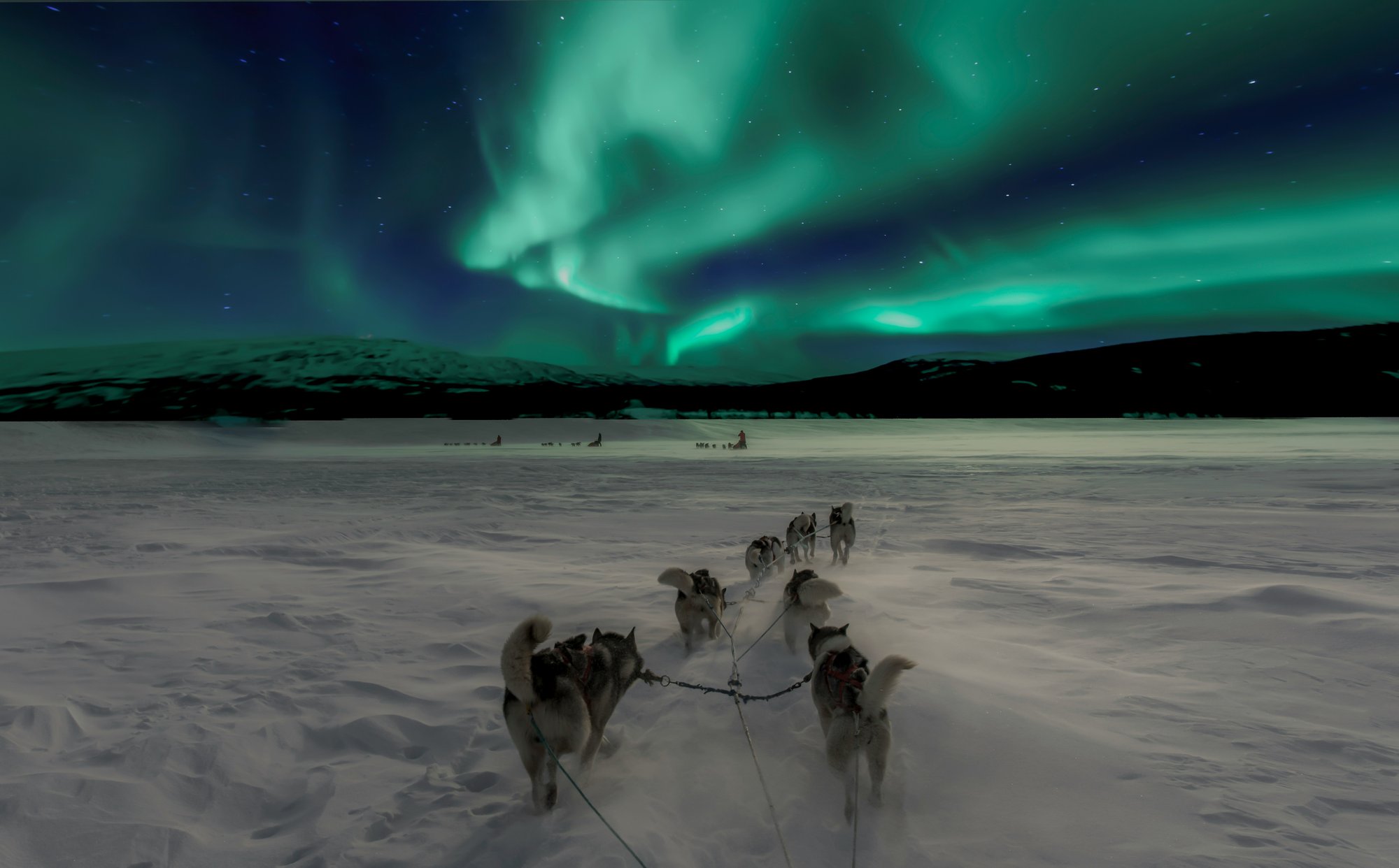 Hundeschlittenfahrt unter dem Nordlicht in Norwegen