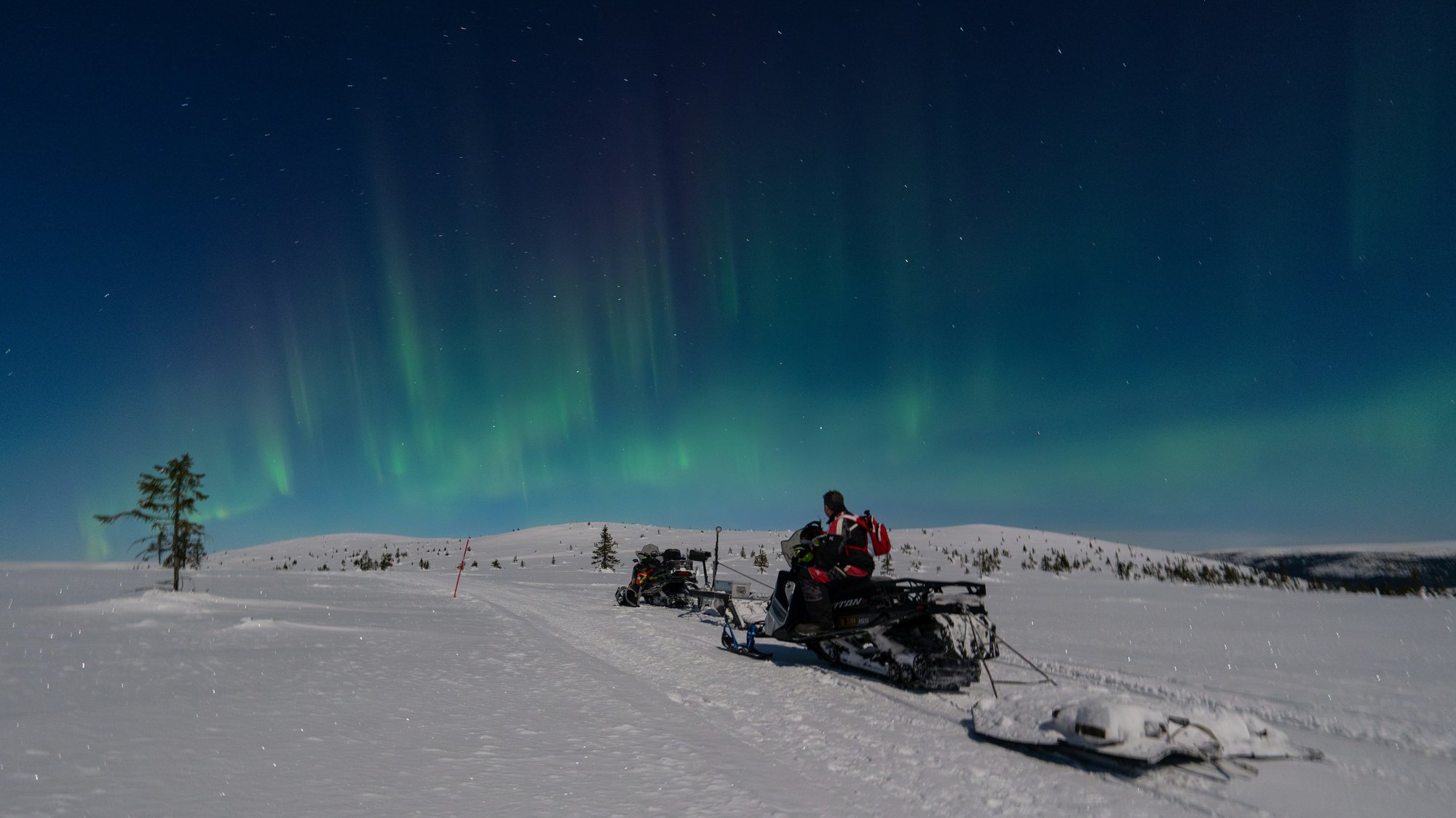 Mann-Skimobil-Nordlichter-Norwegen