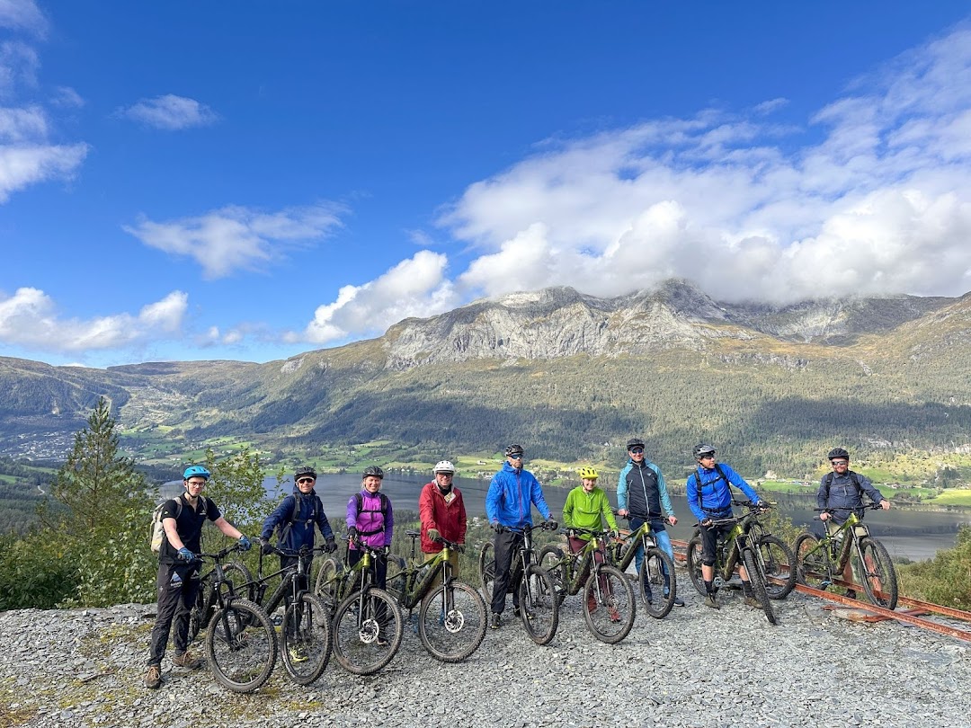 Mountainbiken auf Waldwegen