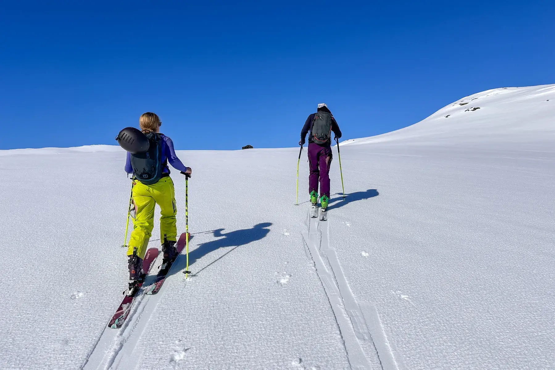 6-TÄGIGES SKIPAKET „FRESH &amp; CRUISERS“ 2025–2026